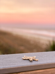 Starfish on the beach