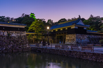 Obraz premium 日本の風景・夏 日本100名城 高知城 夜景