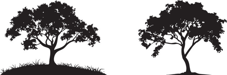Obraz premium Tree silhouette vector