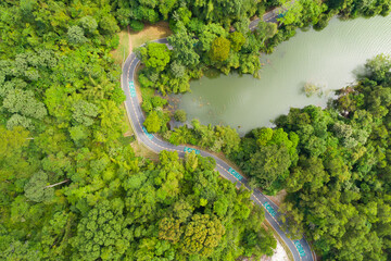 Aerial view Tropical Rainforest trees mountains,Top view green forest background