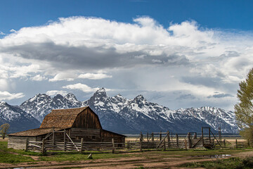 Mormon Barn at Grand Tetons