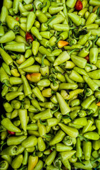 green hot chili