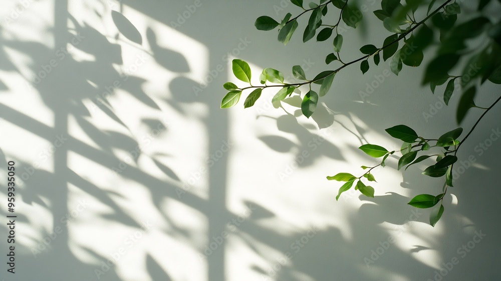 Leinwandbilder beautiful shadow from a window and tree leaves on a white wall simple minimalistic natural backgroun