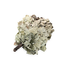 One oak sauna whisk isolated on white, top view