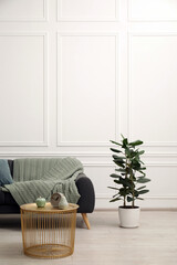 Comfortable gray sofa with cushion and blanket in living room. Interior design