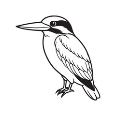 Kingfisher bird line art vector silhouette with white Background