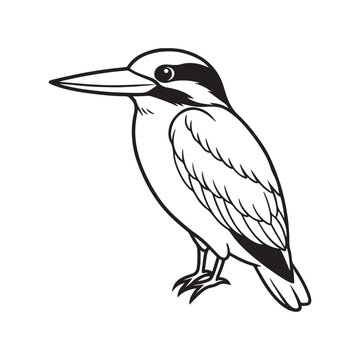 recommend clip art: Kingfisher bird line art vector silhouette with white Background
