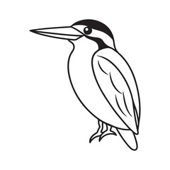 Kingfisher bird line art vector silhouette with white Background