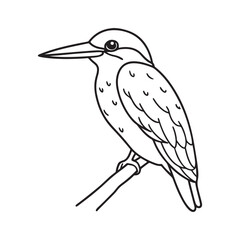 Kingfisher bird line art vector silhouette with white Background