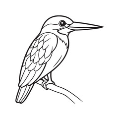 Kingfisher bird line art vector silhouette with white Background