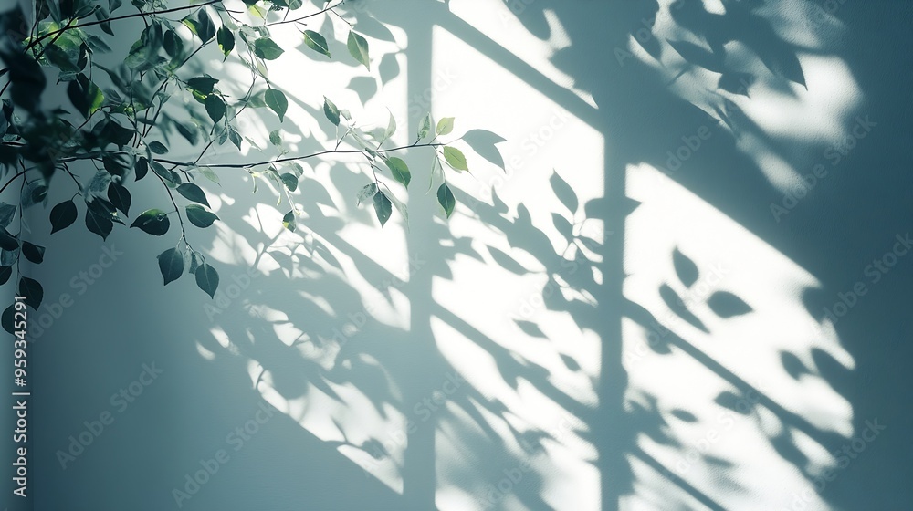 Leinwandbilder beautiful shadow from a window and tree leaves on a white wall simple minimalistic natural backgroun