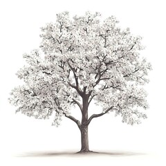 Obraz premium Vector illustration of a cherry tree on a white background. Suitable for crafting and digital design projects.[ --v 6.1 Job ID: ecaf7eff-69ee-4cb9-8bb7-44d7961bd975
