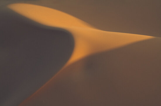 Africa, Erg Chebbi, Morocco. Desert dune contrast. 