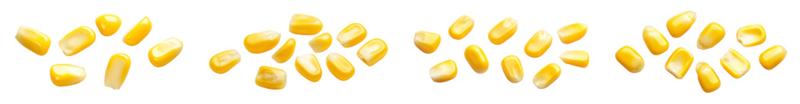 Flying corn seeds cut out isolated on white background