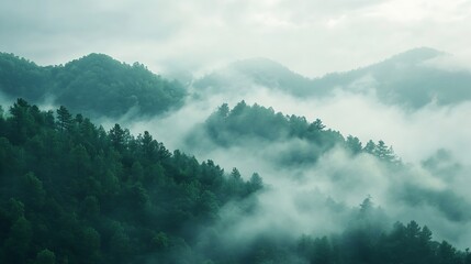 Fototapeta premium Morning mist on top of hill Cloudyscape : Generative AI