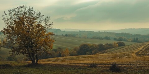 Fototapeta premium Hilly Landscape with Fields Trees and Overcast Sky