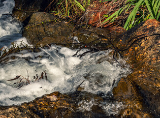 A small rocky stream with clear flowing water.