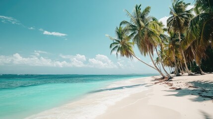 A tropical beach with palm trees swaying in the wind, and turquoise water