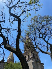 Catedral de Guadalajara