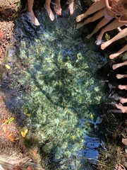 Little cenote at natural park