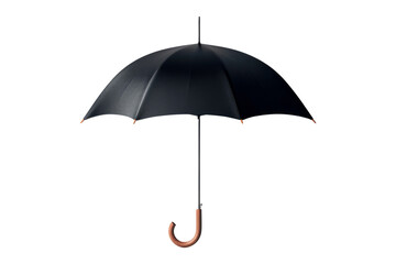 Black Umbrella with Wooden Handle