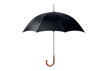 Black Umbrella with Wooden Handle