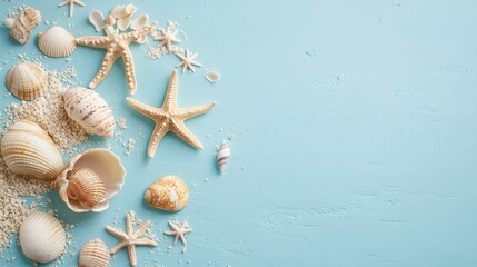 Summer beach with starfish and shells