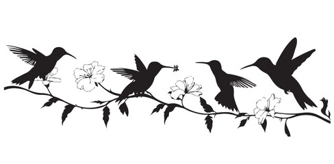 Obraz premium silhouette of a bird