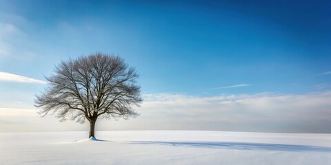 Lonely tree standing bare in a snowy winter landscape with no leaves , solitude, cold, stark, snow, branches, stark