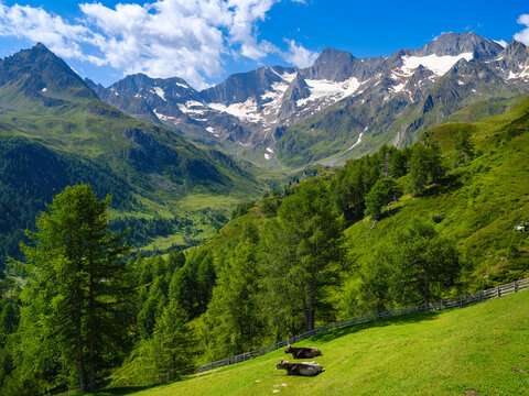 Valley Seeber Tal view towards Mt. Hochfirst and Mt. Granatenkogel in Texelgruppe in the Passeier Valley in the Otztal Alps. Italy, South Tyrol