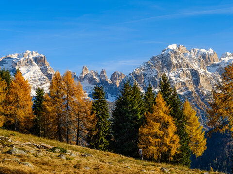 Cima Brenta and Cima Tosa. Dolomiti di Brenta from Val Rendena in the Parco Naturale Adamello Brenta, UNESCO Site. Dolomites, Trentino, Italy.