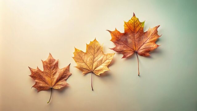 Four dried autumn leaves on pastel background for boho fall vibe, autumn, leaves, foliage, dried, yellow, brown, pastel, background