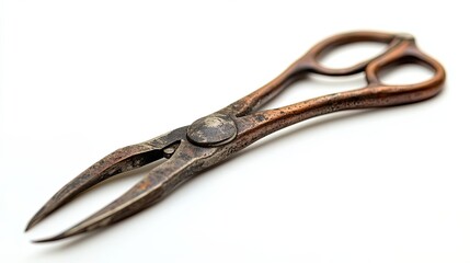 Obraz premium Antique Metal Tongs with Worn Handles