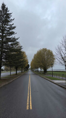 Fototapeta premium overcast day with light winds howling background art design backdrop