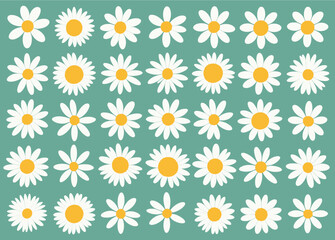 Daisy Pattern: A Collection of White and Yellow Flower Illustrations on a Teal Background
