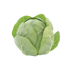 Fresh green cabbage with crisp leaves, perfect for salads and healthy dishes. isolated on a white background, transparent background.