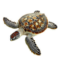 Fototapeta premium High-quality image of a beautiful sea turtle with intricate shell patterns, isolated on a white background.