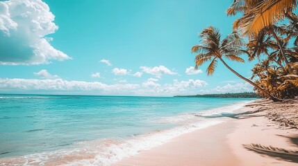 Tropical Beach with Palm Trees and Turquoise Water