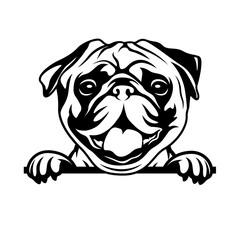 Pug Dog | Peeking Pug | Pug Dog Head | Cute Little Pug Face | Peeking Animal | Dog Breed | Domestic Animal | Dog Lover | Original Illustration | Vector and Clipart | Cutfile and Stencil