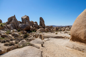 A stunning arid landscape in Joshua Tree National Park, California, featuring smooth rock...