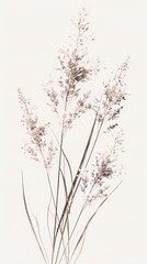 Obraz premium Flowing aquatic plants illustration poster background