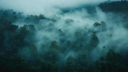 Fototapeta premium Morning mist rolling through a dense forest, foggy weather, mysterious ambiance
