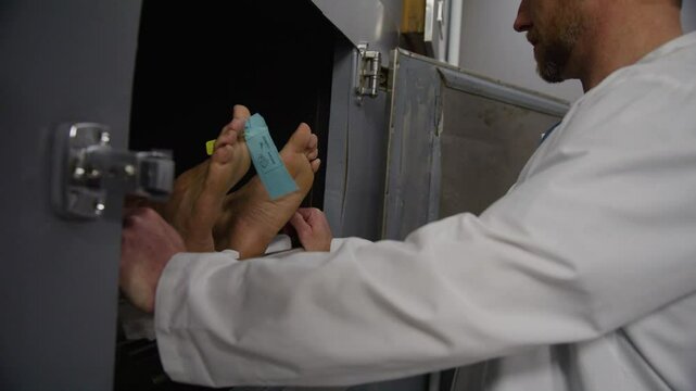 Morgue doctor working with corpse