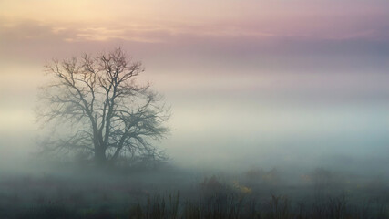 Obraz premium Sun-Kissed Pastels