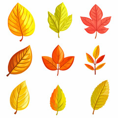 A collection of colorful leaves in various shapes and sizes, showcasing autumn hues.