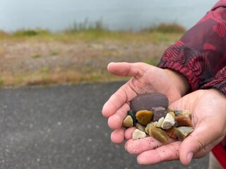 Beach rocks