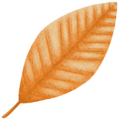 Colorful leaves in autumn, hand-drawn with pencil texture, are beautiful elements for autumn-themed stickers.