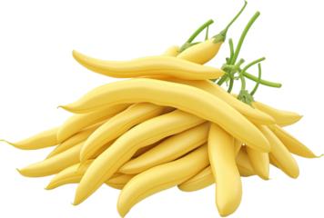 Cherokee Wax Seeds - Cherokee Wax Bean isolated, pile of Cherokee wax beans illustration