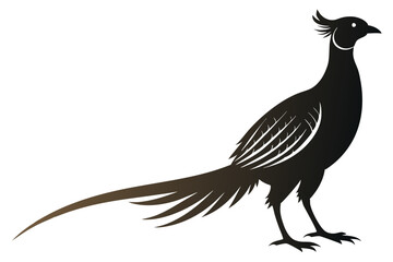 Pheasant Silhouette vector illustration 
