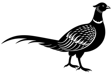 Pheasant Silhouette vector illustration 
